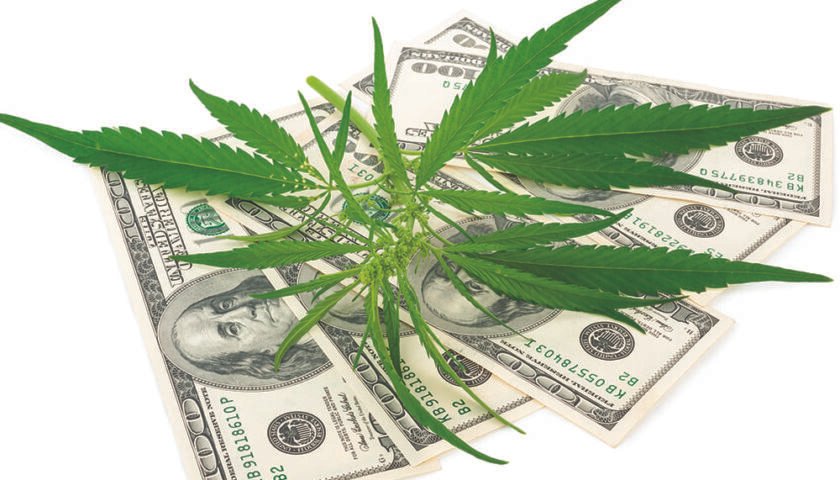 Hemp plants and US dollar notes