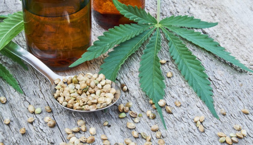 hemp seeds and hemp leaf image