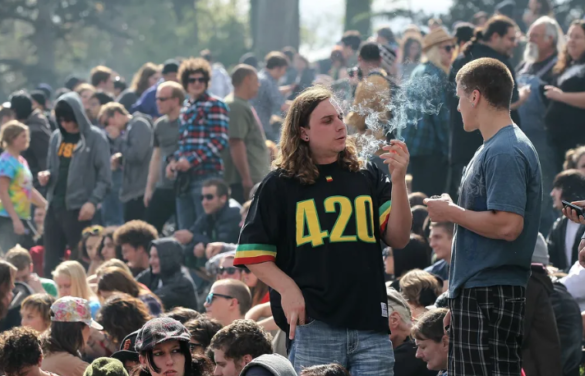 Party crowd of 420 marijuana smokers