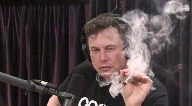 Elon Musk smoking marijuana on Joe Rogan talkback
